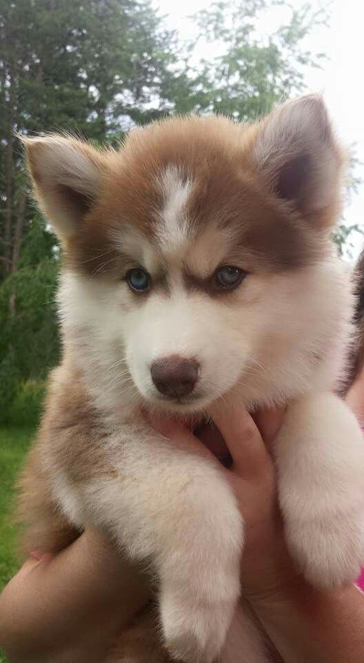 Skye